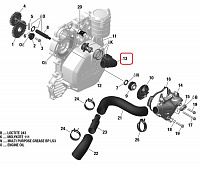 420922158 Корпус термостата для снегоходов Ski-Doo Rotax 900 ACE 2019"+ 420922158 - фото товара BoonDocker