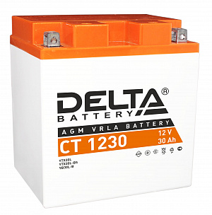 DELTA CT 1230 12V 30AH Стартерный Герметичный Свинцово Кислотный Аккумулятор Для Мототехники 