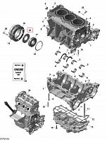 420431402 Сальник коленвала двигателя для снегоходов Ski-Doo Rotax 600/900/1200 420431401/SM-09422 - фото товара BoonDocker