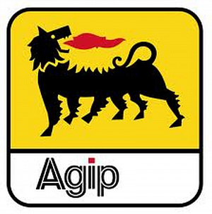 Масло моторное синтетическое для снегоходов Agip Snow Racing 2T 1 литр
